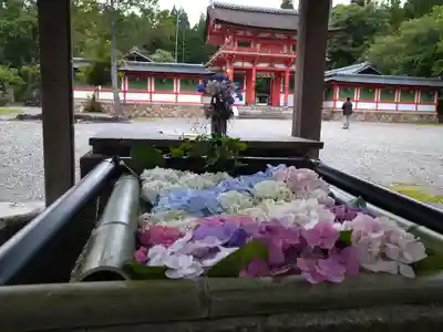 大鳥神社の手水舎