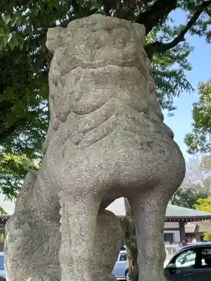 讃岐宮 香川縣護國神社の狛犬