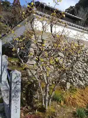 応聖寺(兵庫県)