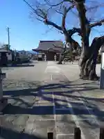 専念寺のその他建物