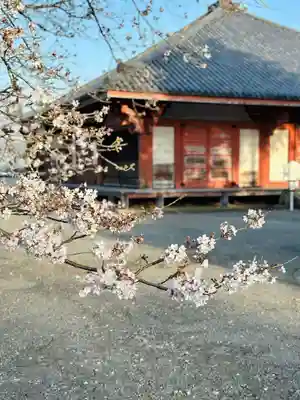 浄土寺(兵庫県)