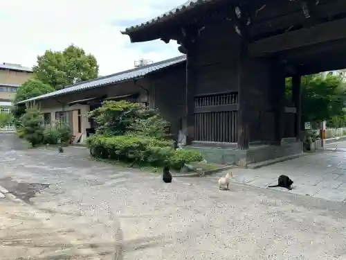 瑞巌寺の{uncategorized: "未分類", other: "その他", undefined: "問題あり", building: "その他建物", grave: "お墓", sacred_gate: "鳥居", guardian: "狛犬", statue: "像", buddha: "仏像", history: "歴史", nature: "自然", garden: "庭園", animal: "動物", pagoda: "塔", temizu: "手水舎", mountain_gate: "山門・神門", sanctuary: "本殿・本堂", subordinate: "末社・摂社", art: "芸術", scenery: "景色", jizo: "地蔵", ema: "絵馬", goshuin: "御朱印", omikuji: "おみくじ", items: "授与品その他", amulet: "お守り", goshuincho: "御朱印帳", eats: "食事", festival: "お祭り", votive_dance: "神楽", shichigosan: "七五三参", wedding: "結婚式", experience: "体験その他", initially: "初詣", around: "周辺", anti_infection: "感染症対策"}
