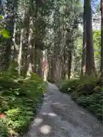 戸隠神社奥社(長野県)