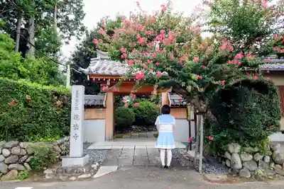 徳法寺の山門・神門