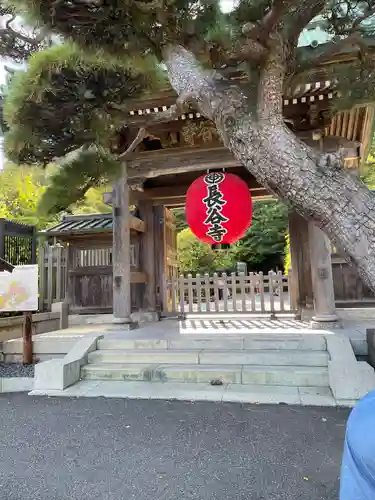 長谷寺(神奈川県)