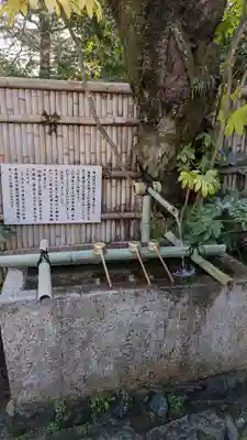 長建寺の手水舎