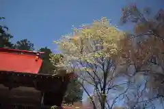 南宮大神社の自然