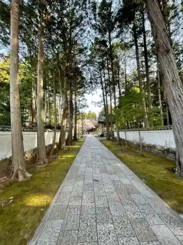 國分寺(高知県)