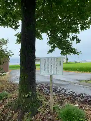 近津神社の自然