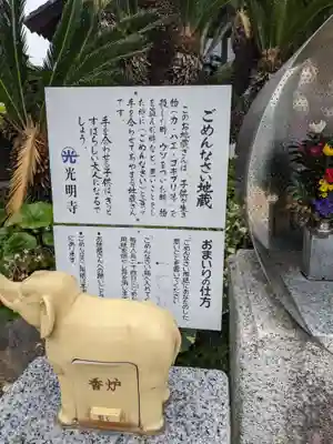 光明寺（とら薬師）(愛知県)