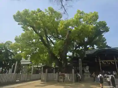 石切劔箭神社(大阪府)
