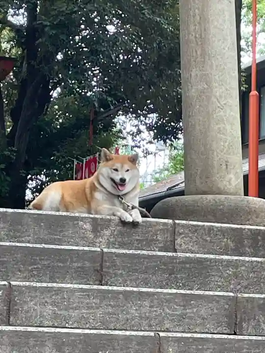 笠䅣稲荷神社(神奈川県)