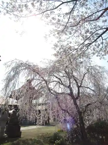 慶龍寺(茨城県)