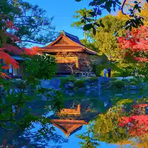 寿量山 速成寺(奈良県)(2023年11月24日(金) 10時08分26秒投稿)