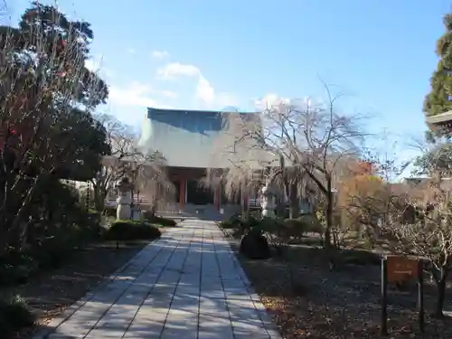 善導寺(群馬県)