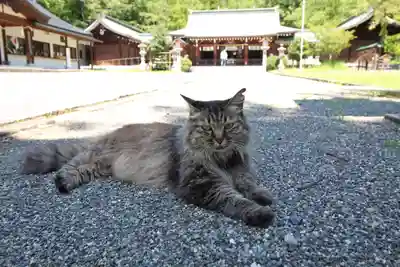 山梨縣護國神社(山梨県)