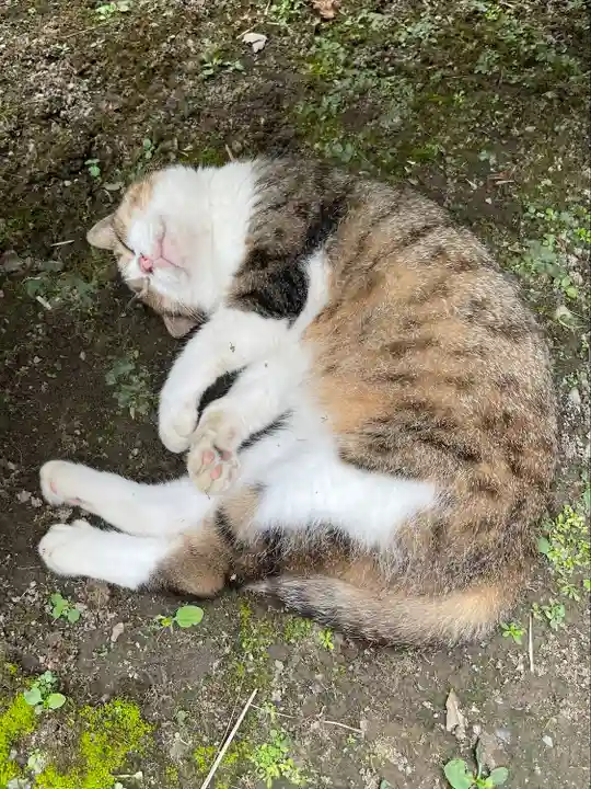 小松寺(千葉県)