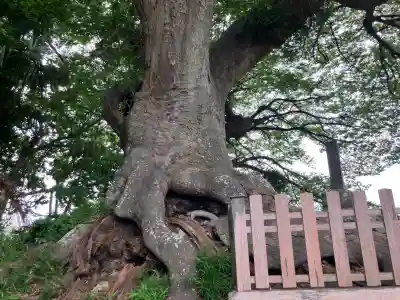 六代山不動院(神奈川県)