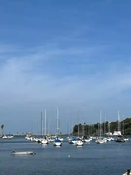 白髭神社(神奈川県)