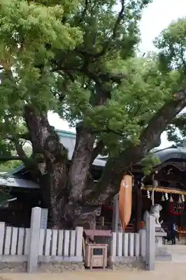 石切劔箭神社(大阪府)