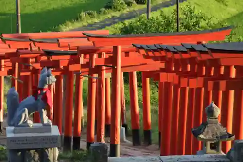 高屋敷稲荷神社の鳥居