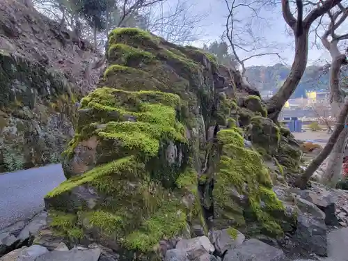 興聖寺（興聖寶林禅寺）の自然