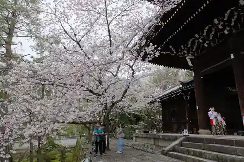 知恩院(京都府)