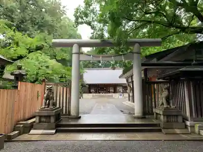 乃木神社の鳥居