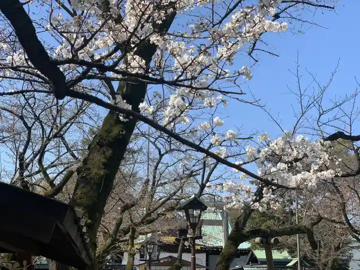 靖國神社の自然
