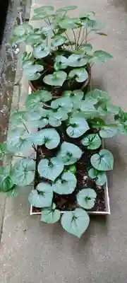 伊賀東照宮(三重県)