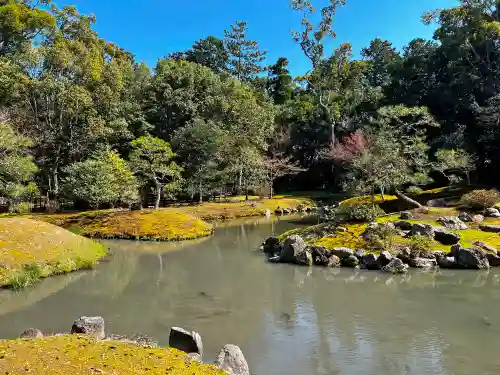 兵主大社の庭園