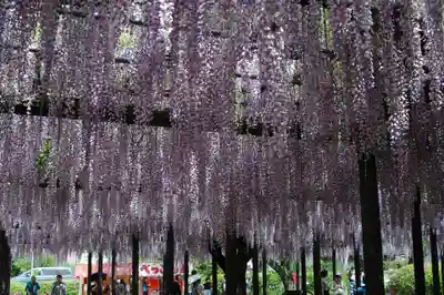 玉敷神社(埼玉県)