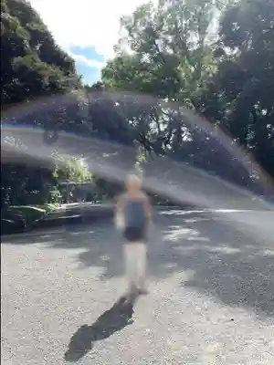 明治神宮(東京都)