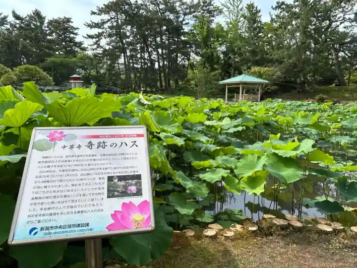白山神社(新潟県)