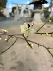 賀茂神社天満宮(鳥取県)