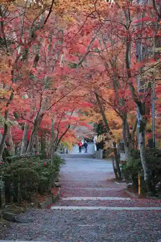 神峯山寺の自然