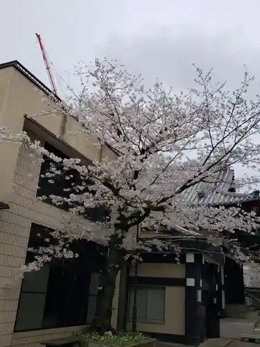 本覚寺(東京都)
