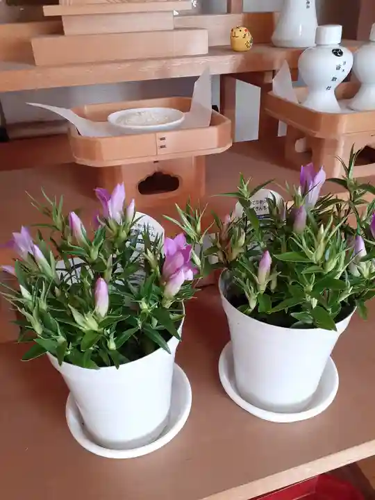 伏木香取神社(茨城県)