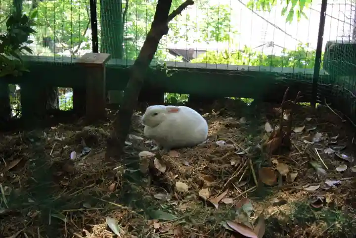 太子堂八幡神社(東京都)