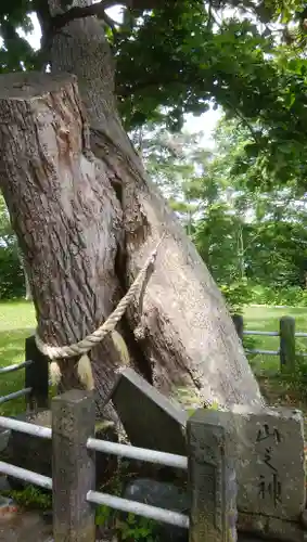 富川神社の自然