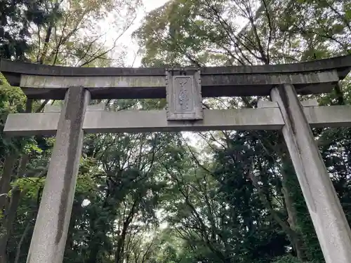 谷保天満宮の鳥居