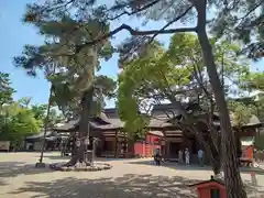 住吉大社の建物その他