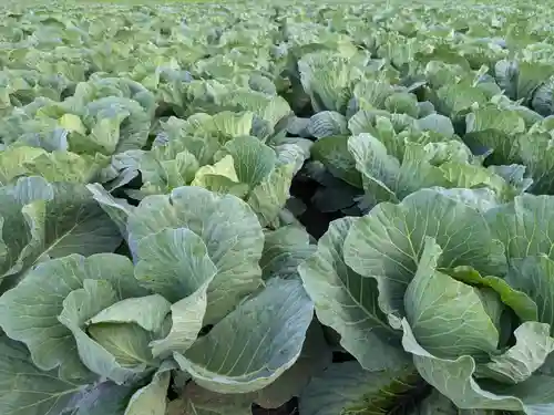 寛永寺別院浅間山観音堂の自然