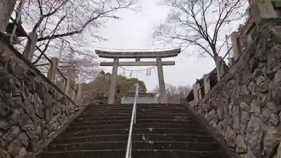 賀茂別雷神社の鳥居