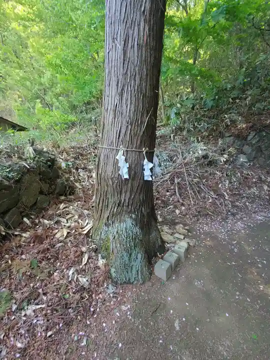 水使神社の自然