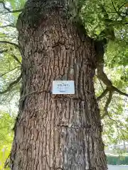 青海山　薬師寺(愛知県)