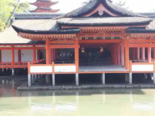 厳島神社の本殿