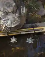 渋川八幡宮(群馬県)