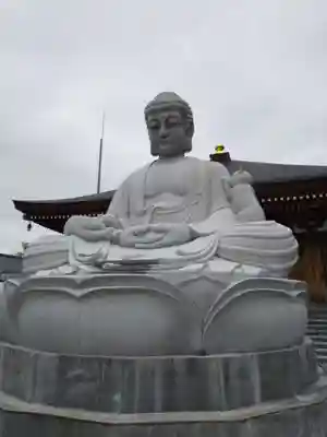 御誕生寺（猫寺）(福井県)