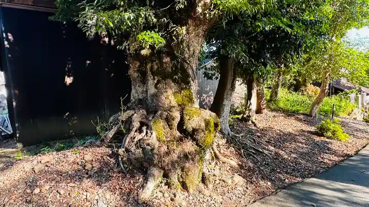 熊野神社(福井県)